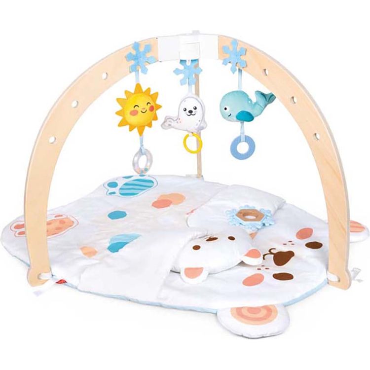 Snuggle Bear Activity Gym